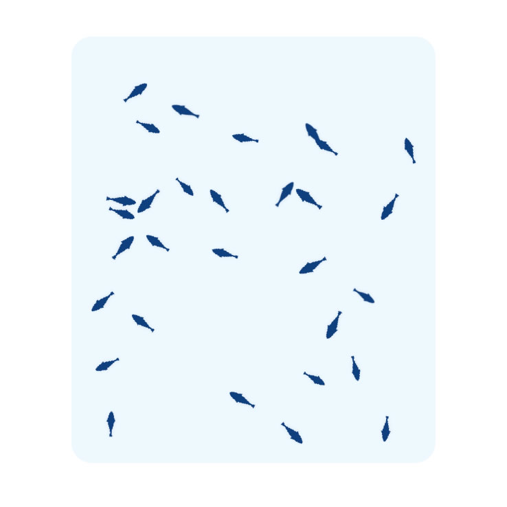 魚の数を数えよう