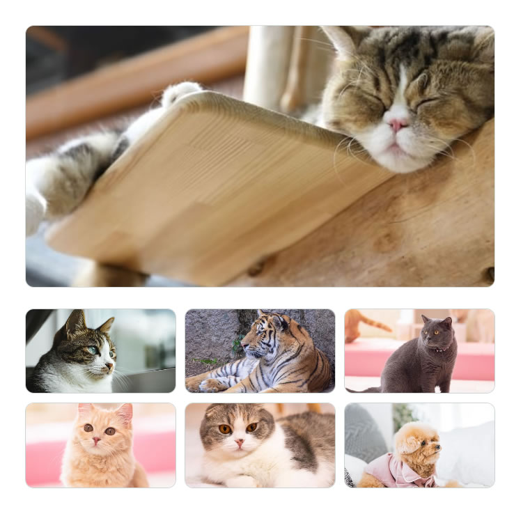 1つ前の写真を選ぼう